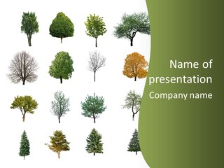 Noel Winter Christmas PowerPoint Template