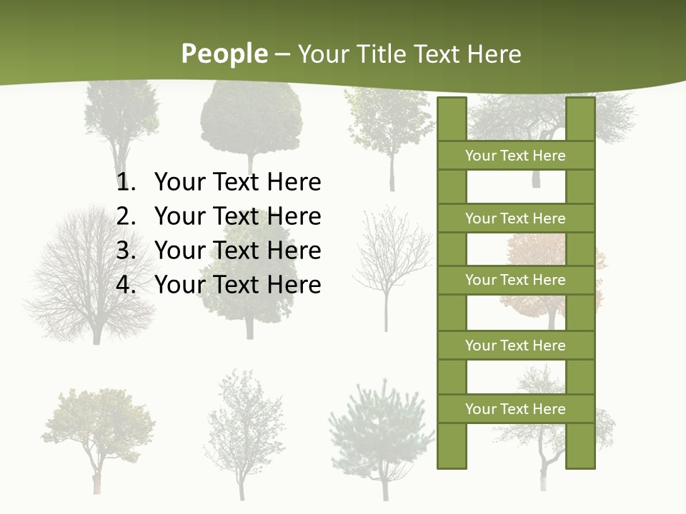 Noel Winter Christmas PowerPoint Template