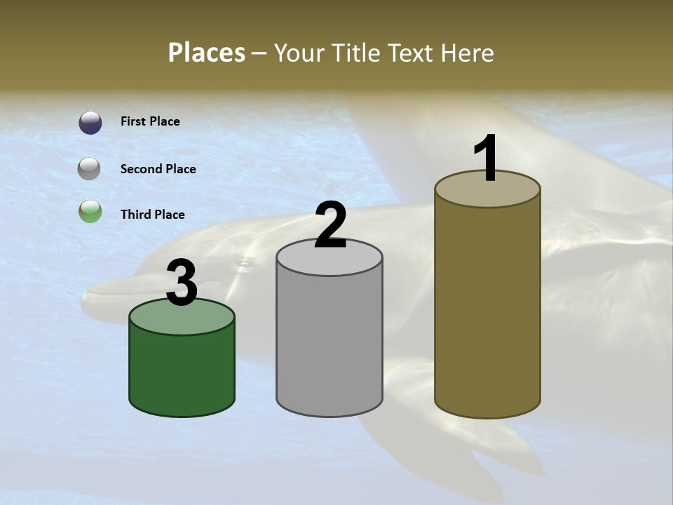 Delphine Pool Mular PowerPoint Template