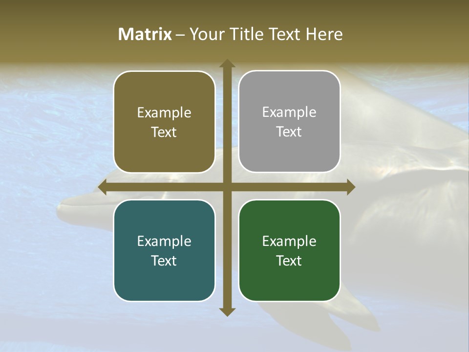 Delphine Pool Mular PowerPoint Template