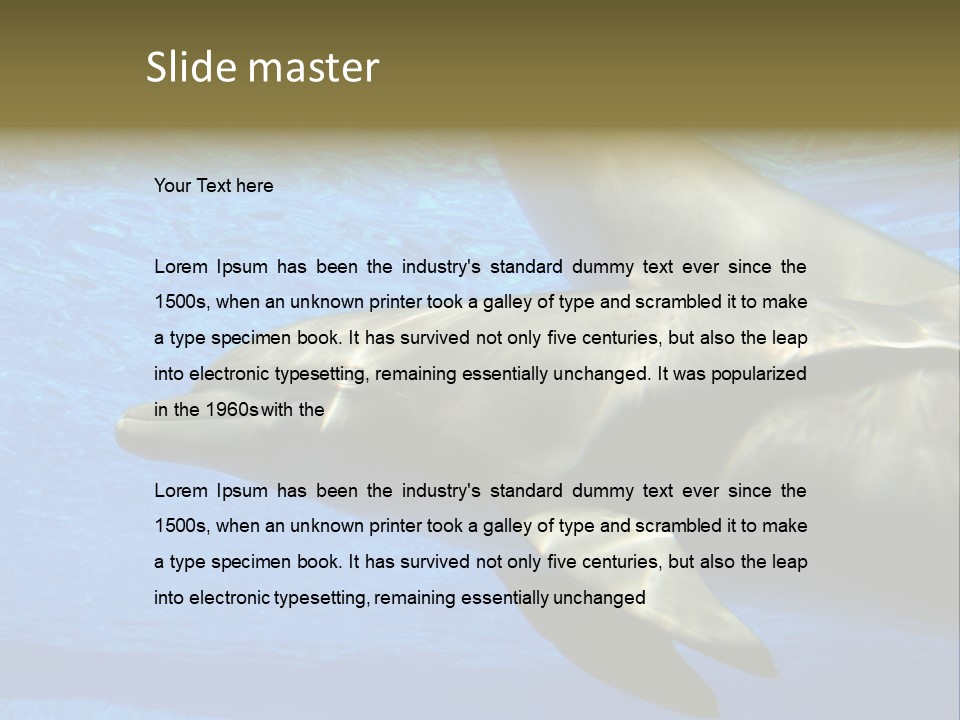 Delphine Pool Mular PowerPoint Template