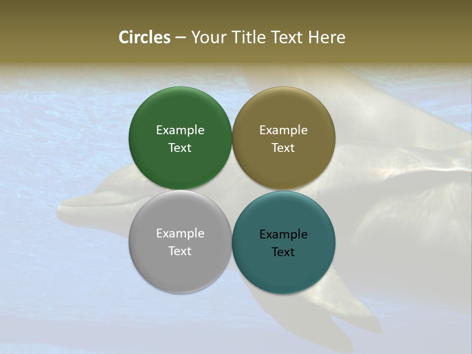 Delphine Pool Mular PowerPoint Template