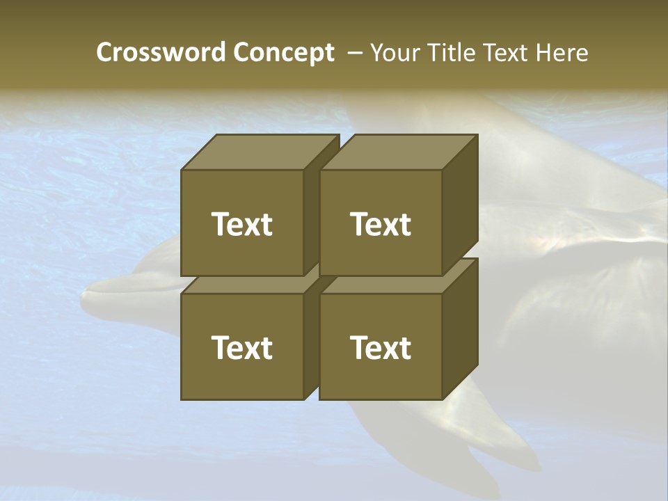 Delphine Pool Mular PowerPoint Template