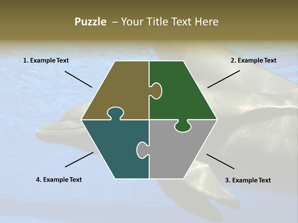 Delphine Pool Mular PowerPoint Template