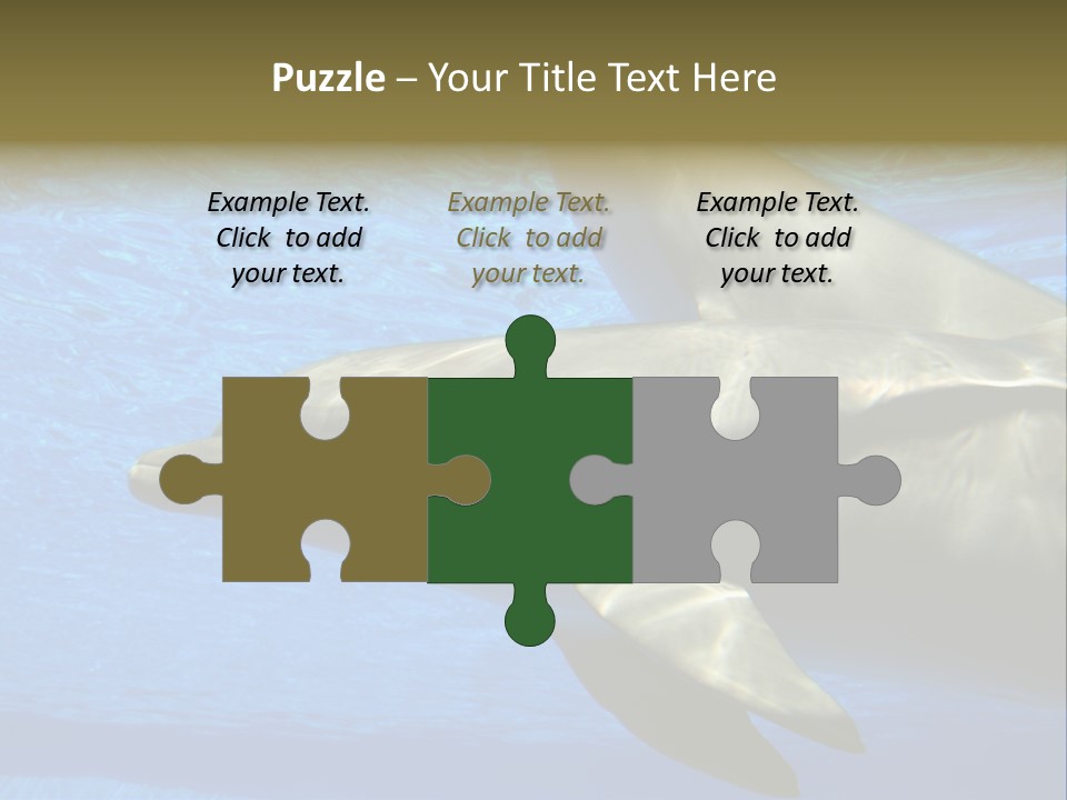 Delphine Pool Mular PowerPoint Template