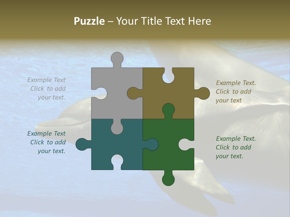 Delphine Pool Mular PowerPoint Template