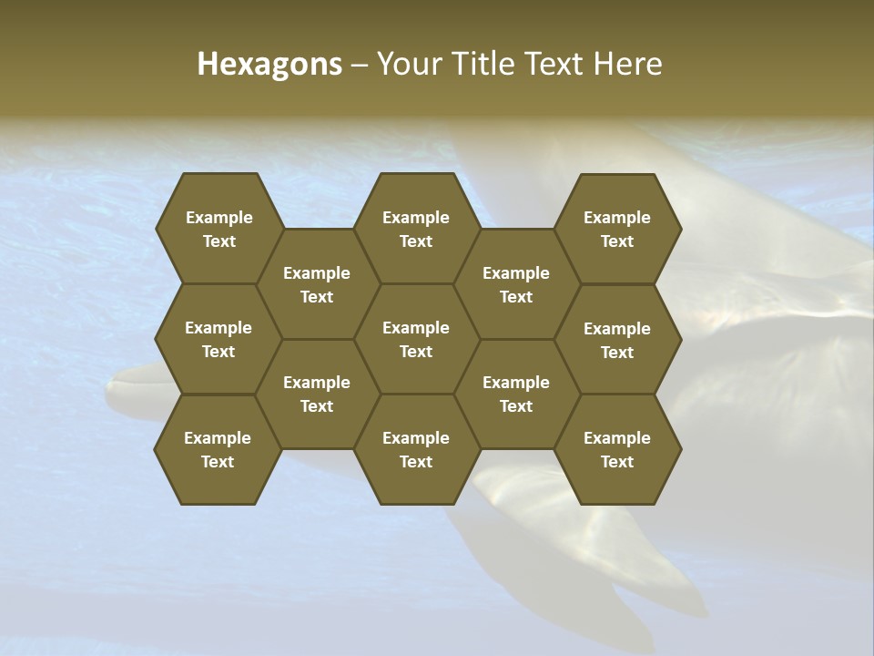 Delphine Pool Mular PowerPoint Template