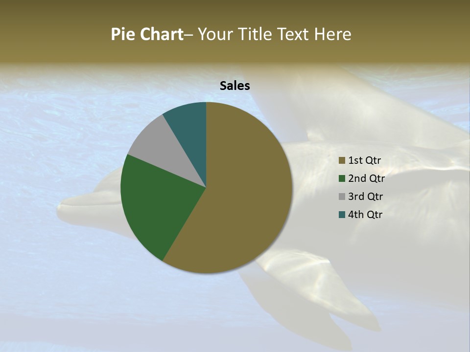 Delphine Pool Mular PowerPoint Template