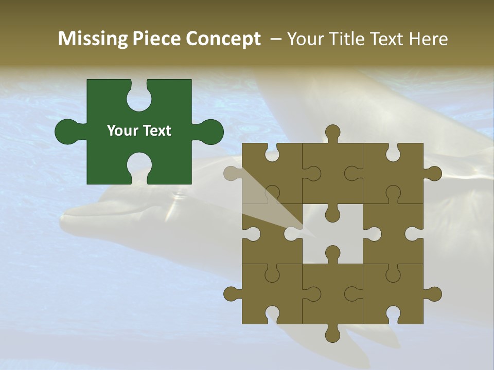 Delphine Pool Mular PowerPoint Template