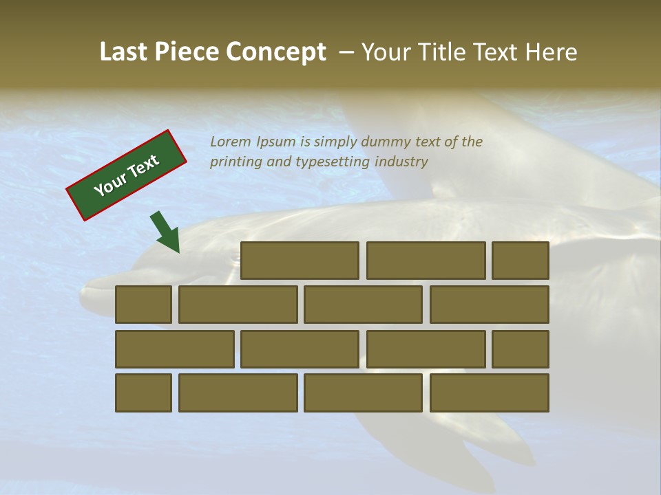 Delphine Pool Mular PowerPoint Template