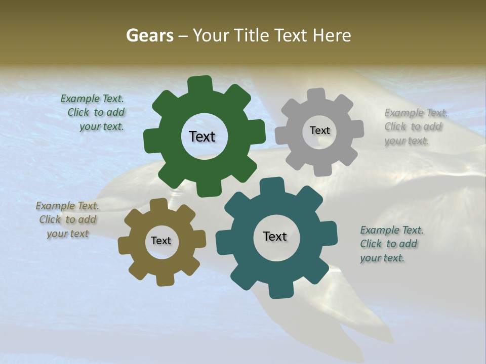 Delphine Pool Mular PowerPoint Template