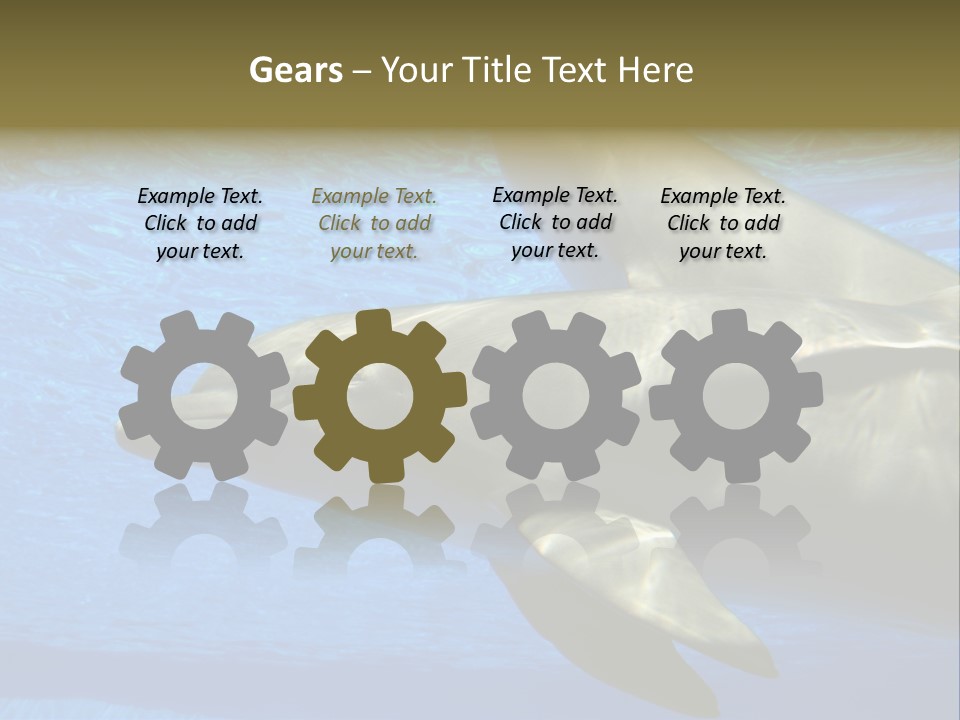 Delphine Pool Mular PowerPoint Template