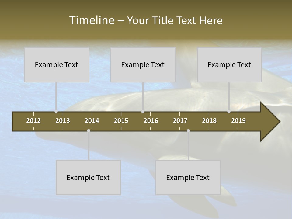 Delphine Pool Mular PowerPoint Template