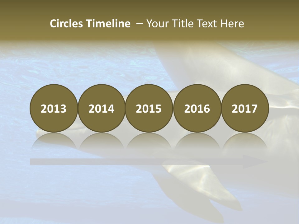 Delphine Pool Mular PowerPoint Template