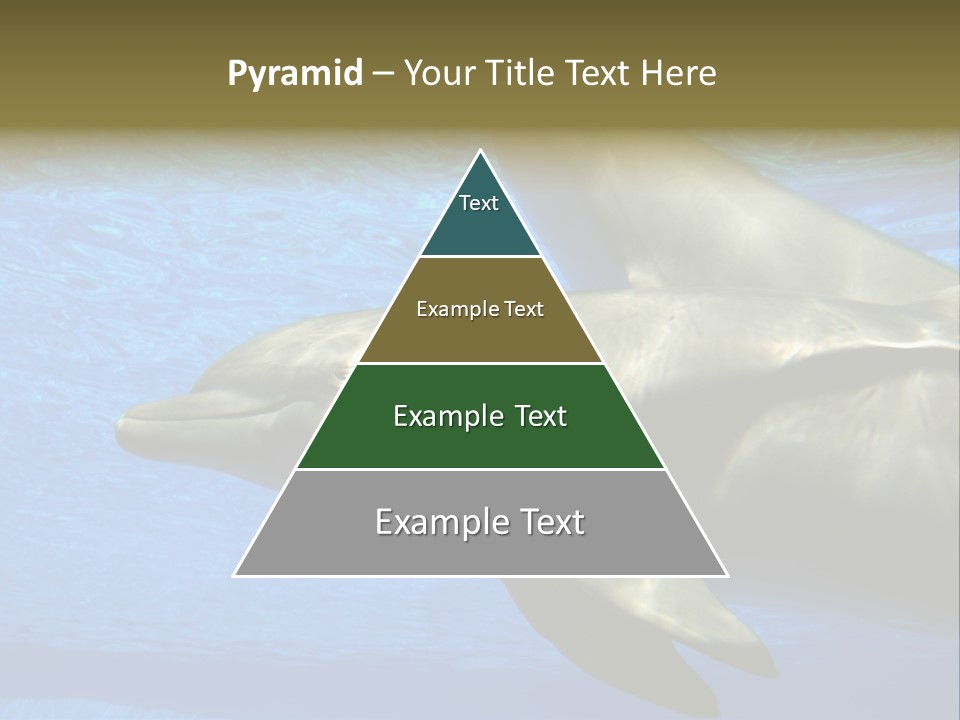 Delphine Pool Mular PowerPoint Template