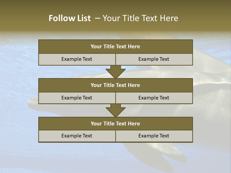 Delphine Pool Mular PowerPoint Template