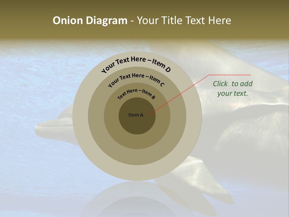 Delphine Pool Mular PowerPoint Template