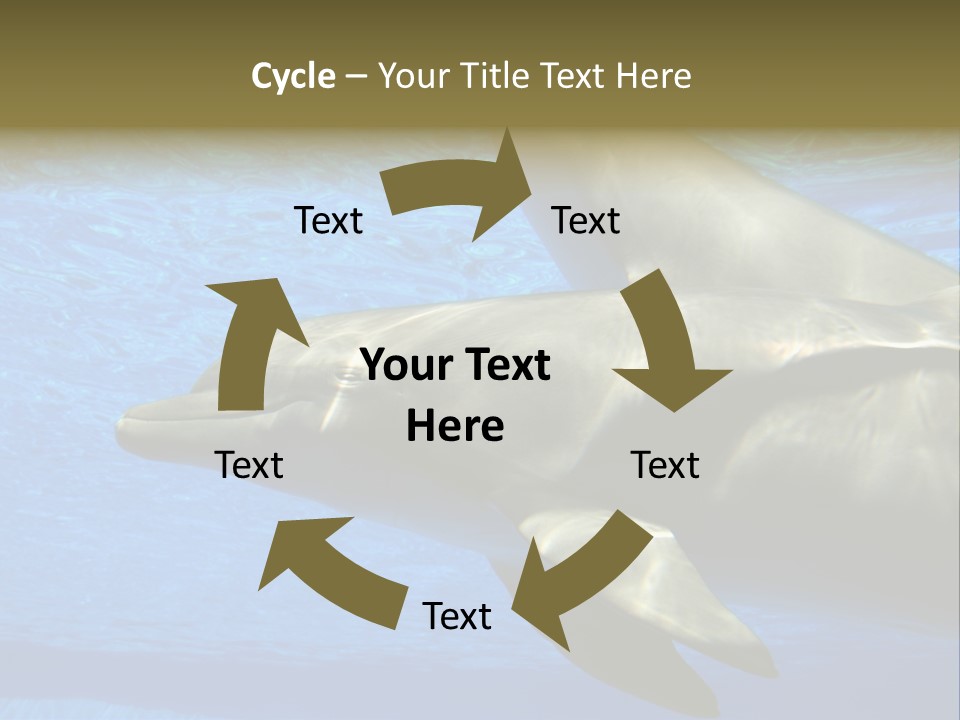 Delphine Pool Mular PowerPoint Template