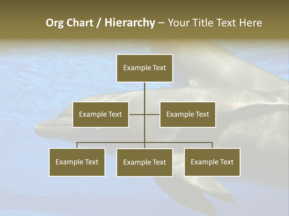 Delphine Pool Mular PowerPoint Template