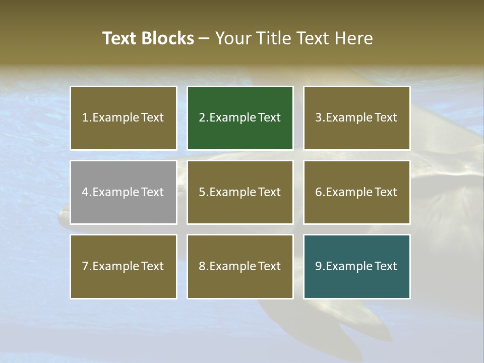 Delphine Pool Mular PowerPoint Template