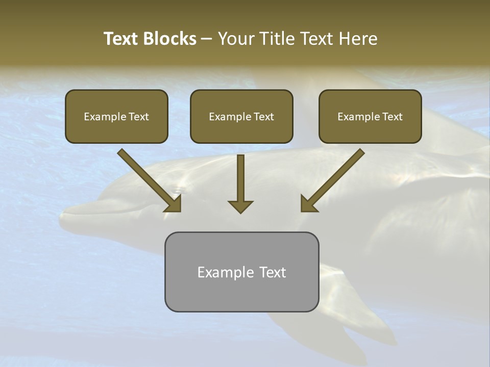 Delphine Pool Mular PowerPoint Template