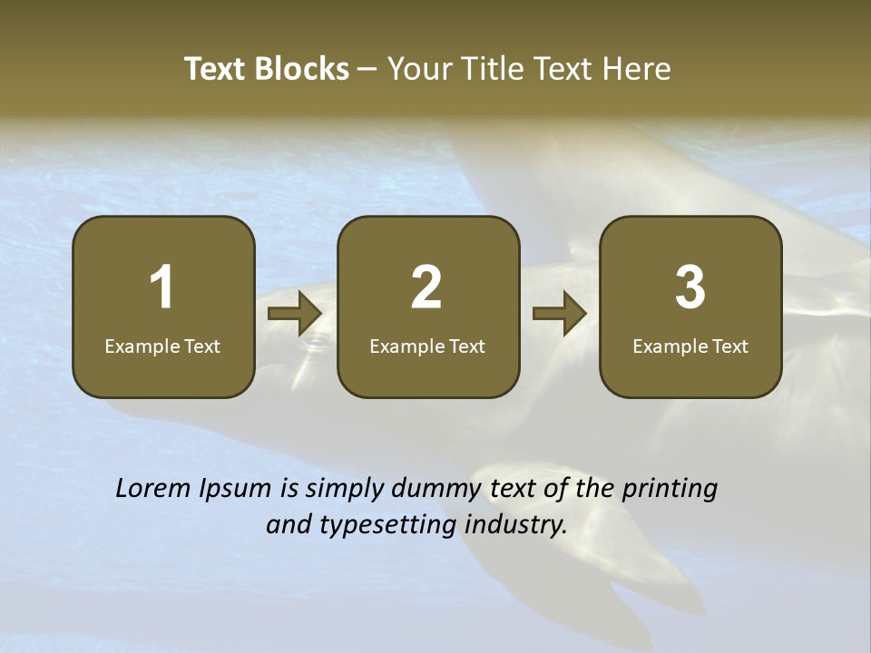 Delphine Pool Mular PowerPoint Template