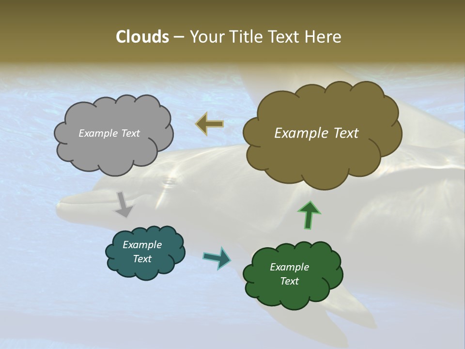 Delphine Pool Mular PowerPoint Template