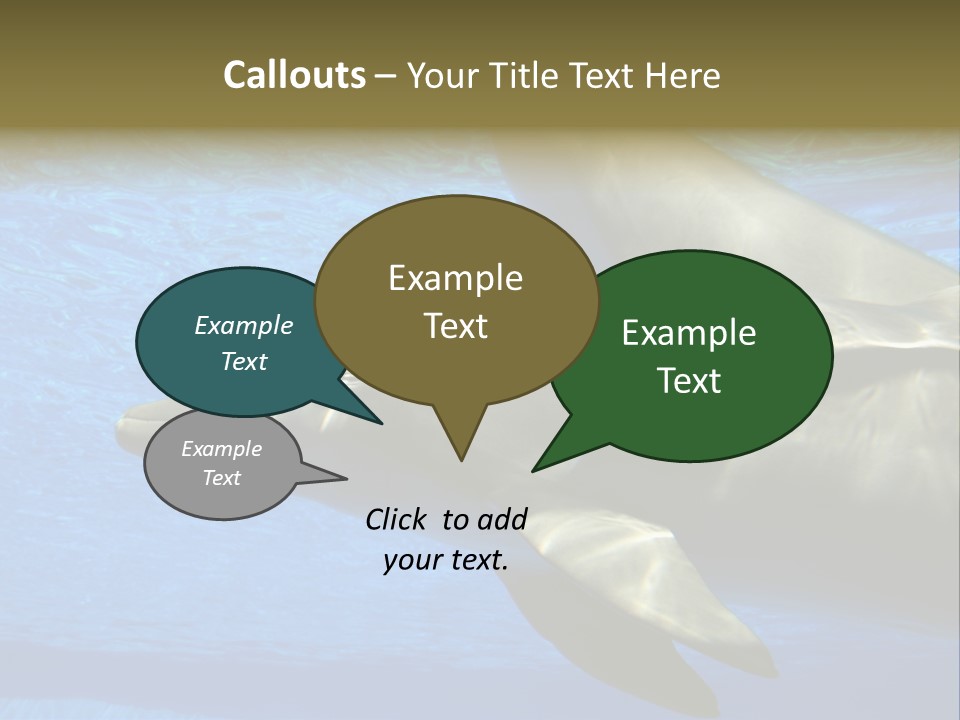 Delphine Pool Mular PowerPoint Template