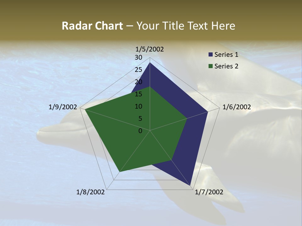 Delphine Pool Mular PowerPoint Template