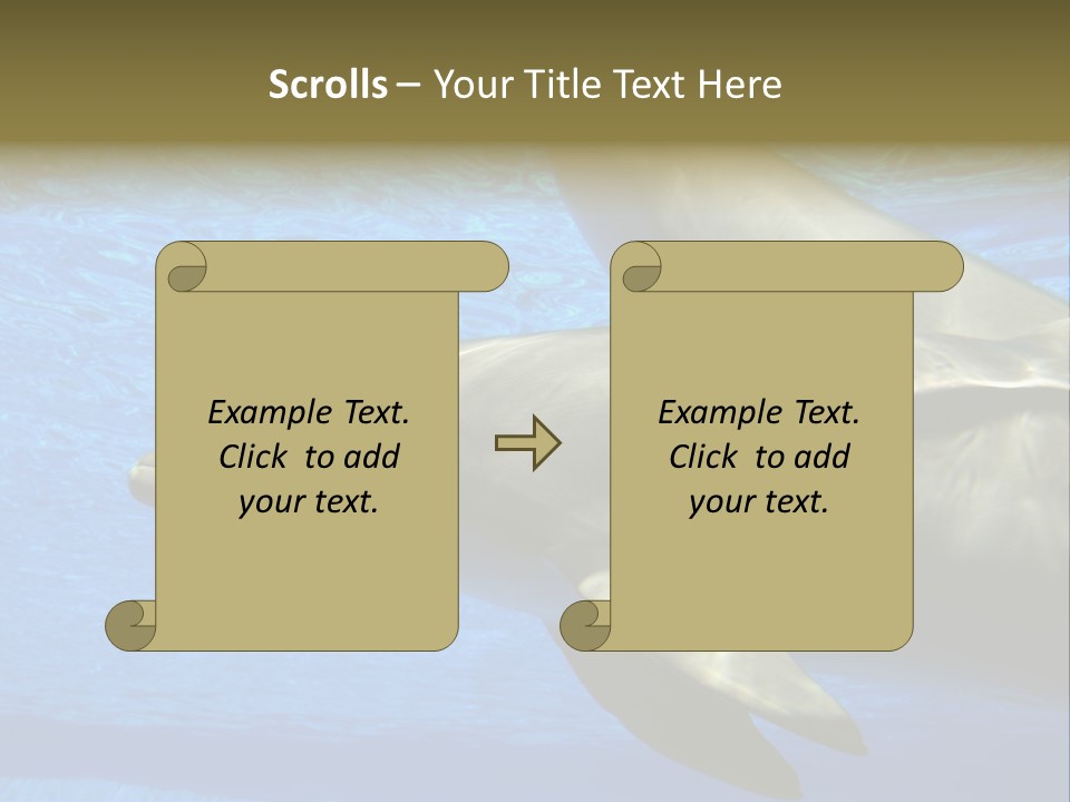 Delphine Pool Mular PowerPoint Template