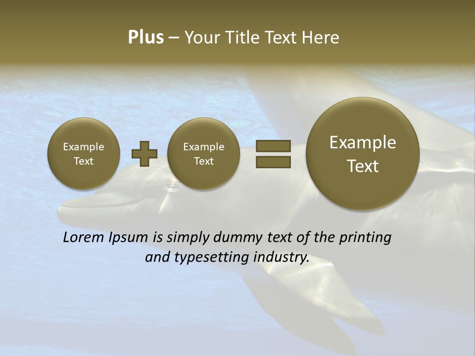 Delphine Pool Mular PowerPoint Template