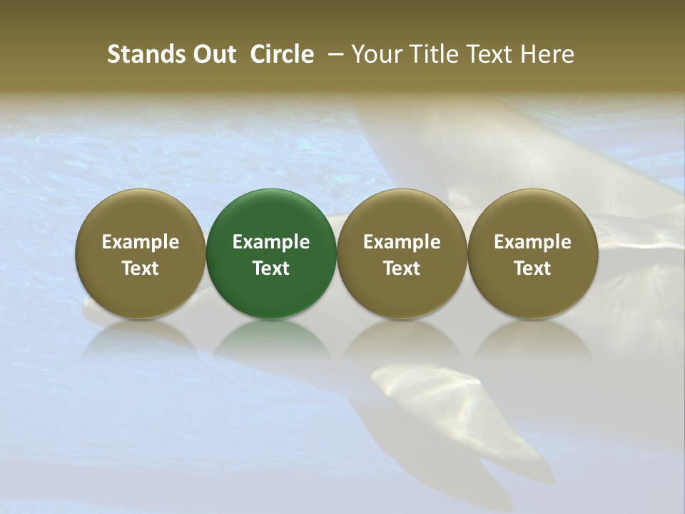 Delphine Pool Mular PowerPoint Template