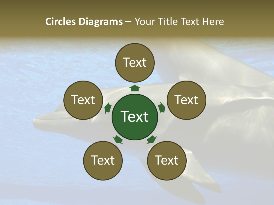 Delphine Pool Mular PowerPoint Template