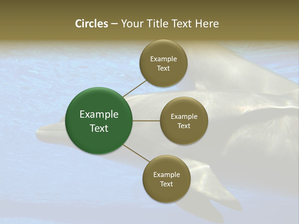 Delphine Pool Mular PowerPoint Template