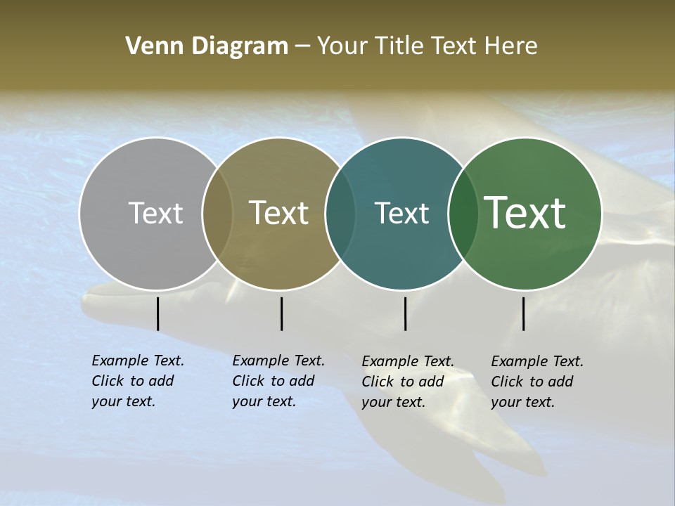 Delphine Pool Mular PowerPoint Template