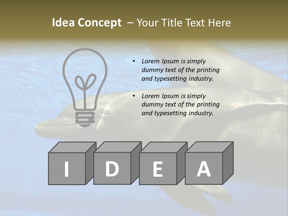 Delphine Pool Mular PowerPoint Template