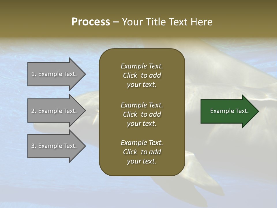 Delphine Pool Mular PowerPoint Template