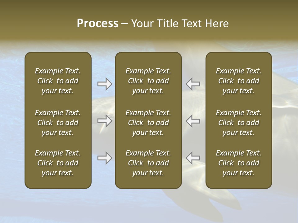 Delphine Pool Mular PowerPoint Template