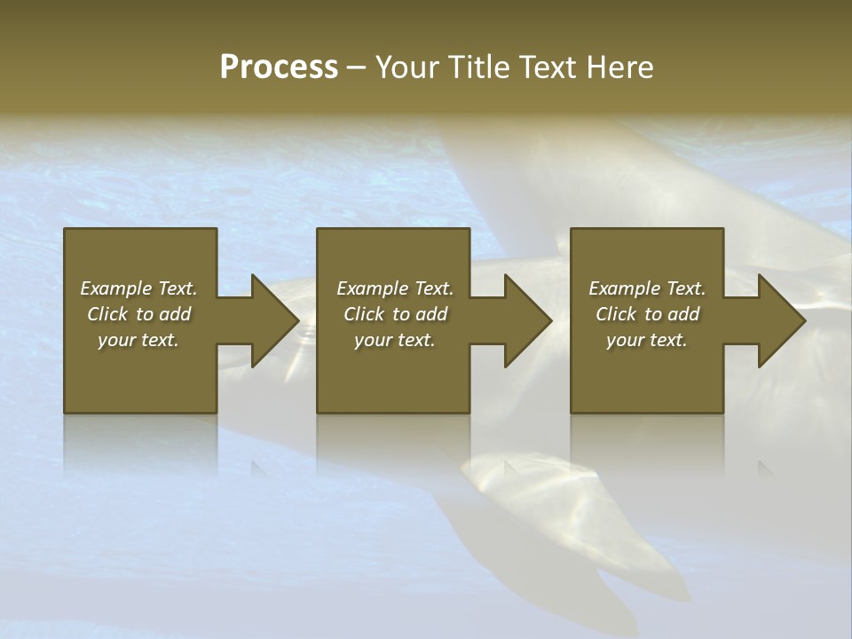 Delphine Pool Mular PowerPoint Template