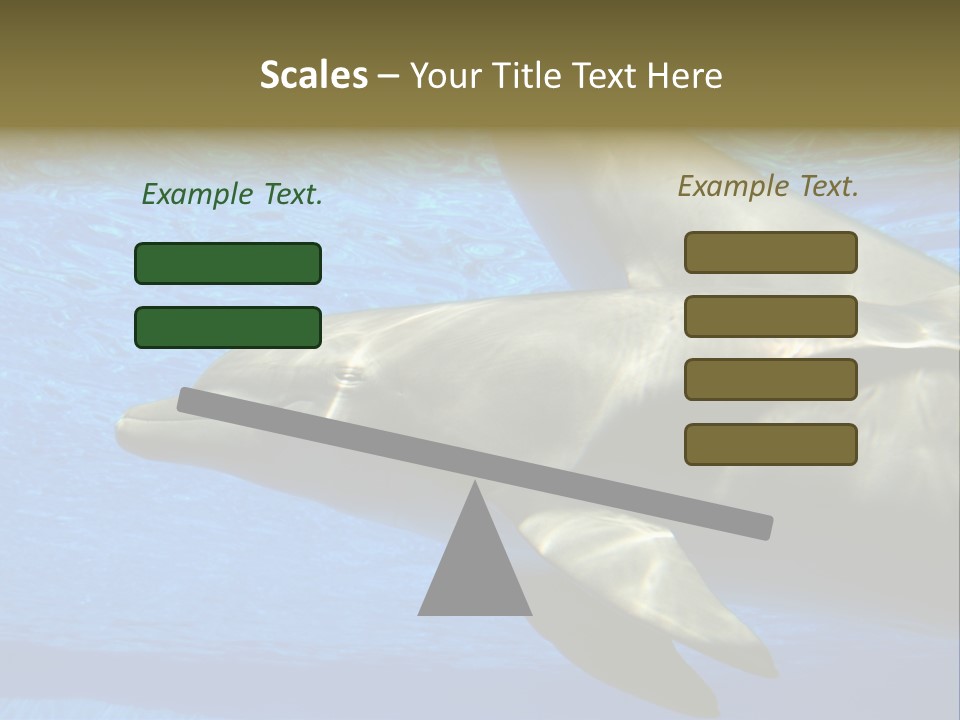 Delphine Pool Mular PowerPoint Template