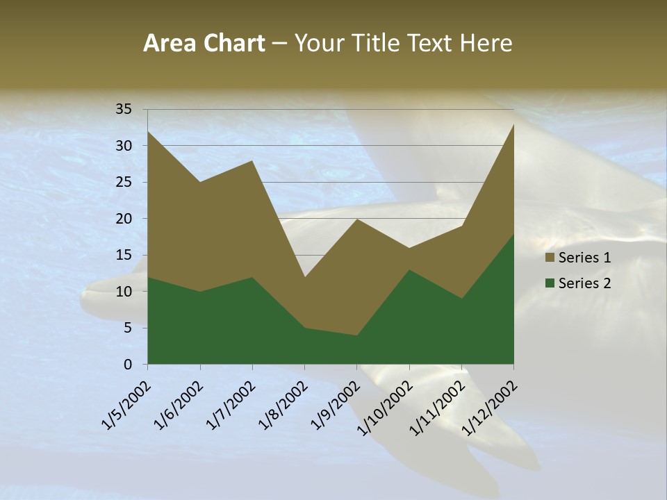 Delphine Pool Mular PowerPoint Template