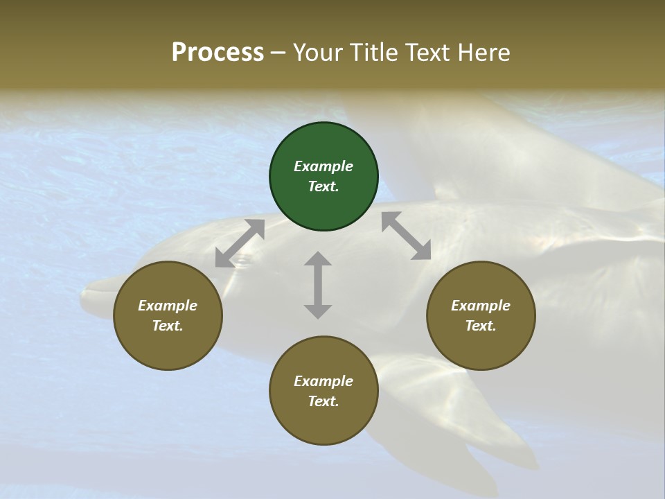 Delphine Pool Mular PowerPoint Template