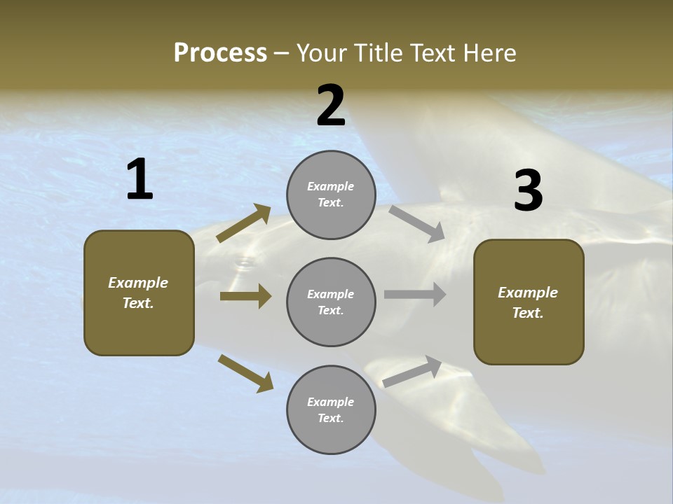 Delphine Pool Mular PowerPoint Template