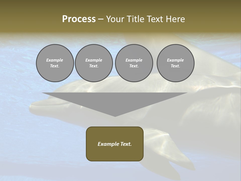 Delphine Pool Mular PowerPoint Template