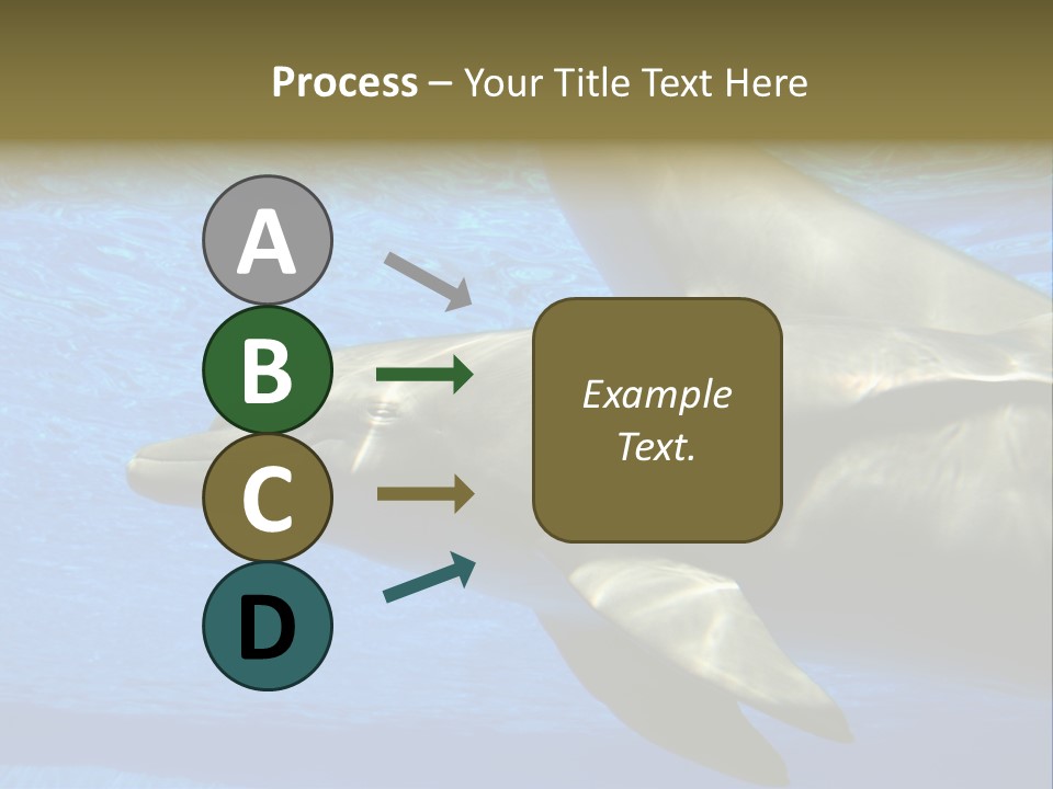 Delphine Pool Mular PowerPoint Template