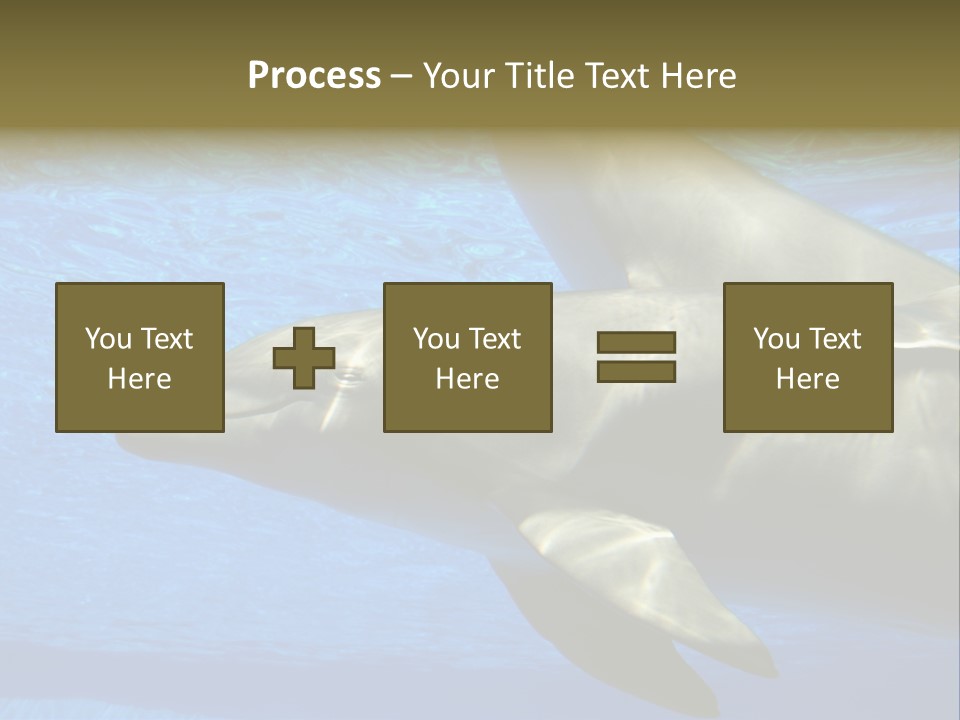 Delphine Pool Mular PowerPoint Template