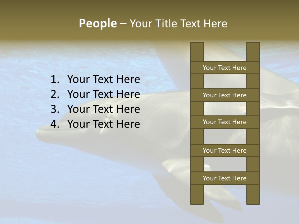 Delphine Pool Mular PowerPoint Template