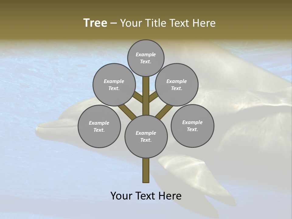 Delphine Pool Mular PowerPoint Template