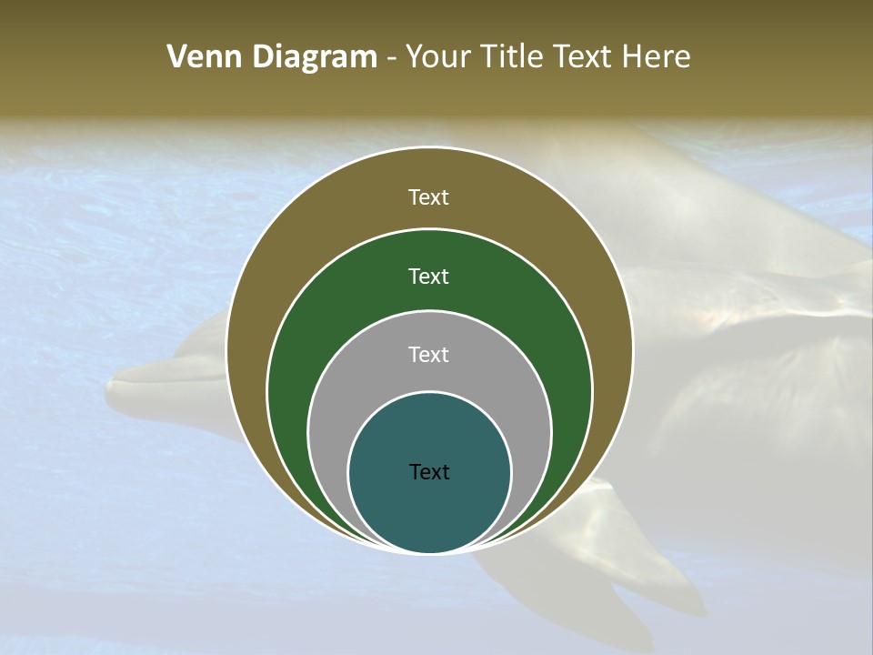 Delphine Pool Mular PowerPoint Template