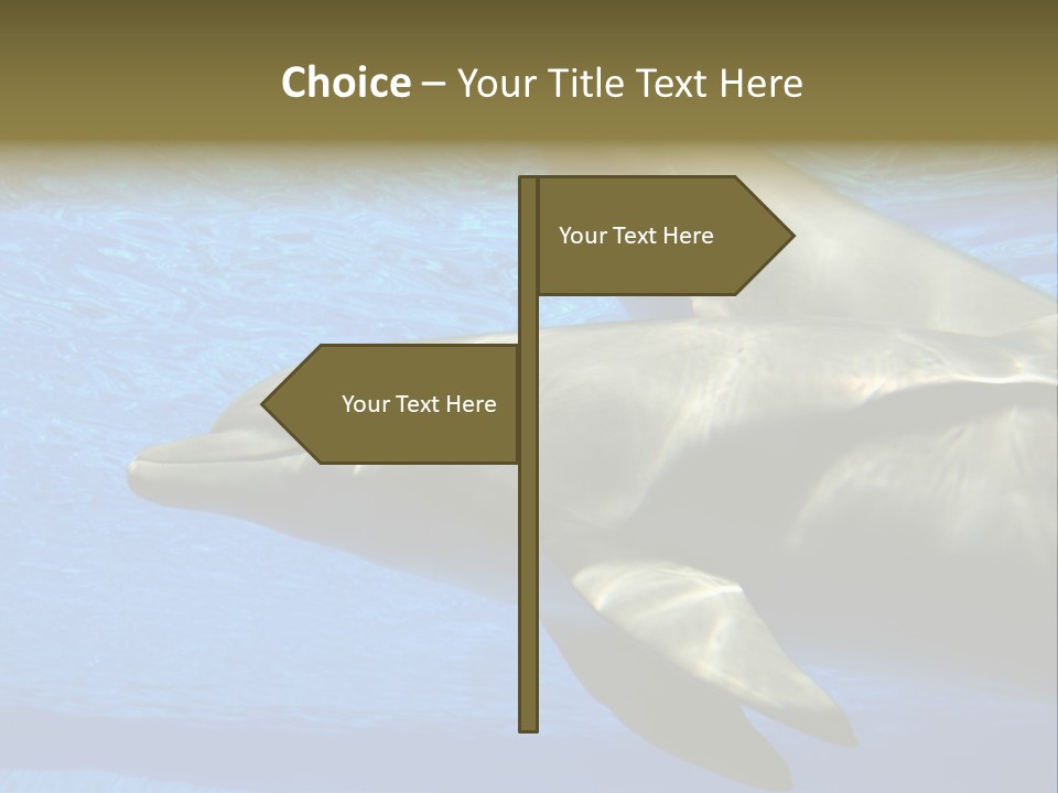 Delphine Pool Mular PowerPoint Template